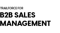 B2B Sales Management